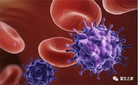 1581394033985292.png image.png